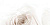Вставка Belleza Нежность бежевый А 25*50 